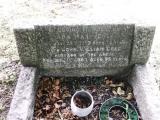 image of grave number 339492